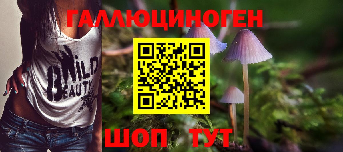 Рузаевка  Галлюциногенные грибы ЛСД  Вход с VPN 