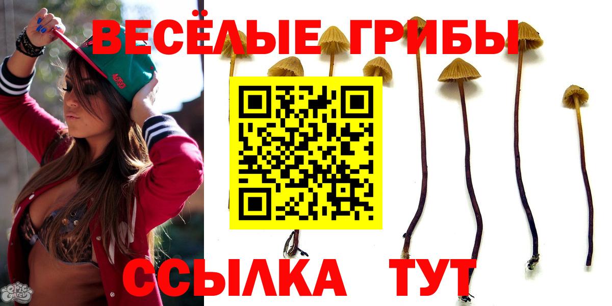 Галлюциногенные грибы MAGIC MUSHROOMS Рузаевка